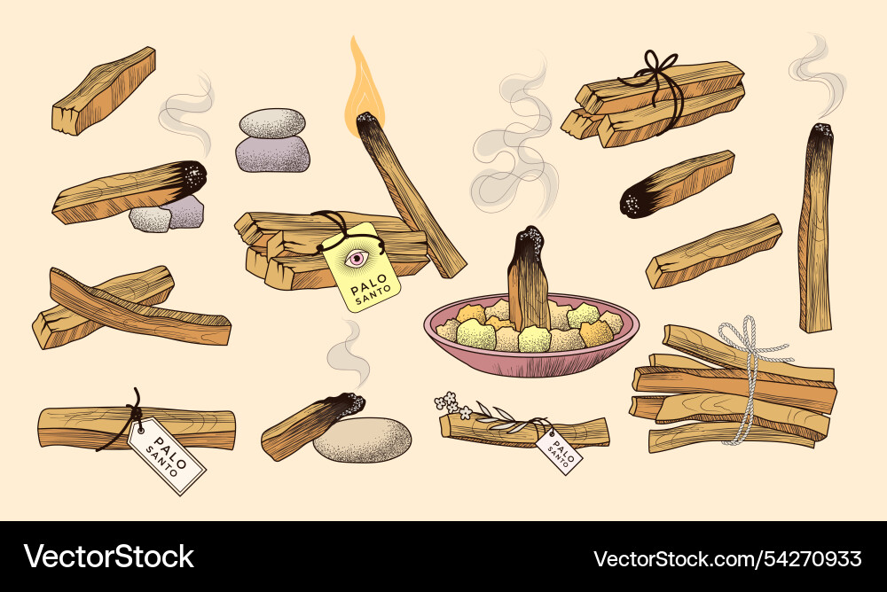 Palo santo handgezeichnete Bilder von Aromaholz Palo santo handgezeichnete Bilder von Aromaholz vektorbild