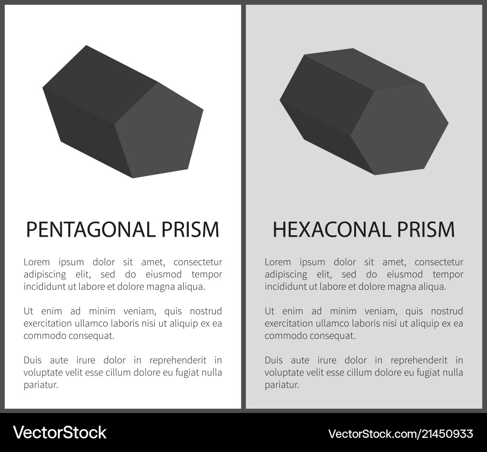 Pentagonal and hexagonal prisms on posters text Pentagonal and hexagonal prisms on posters text Vector Image