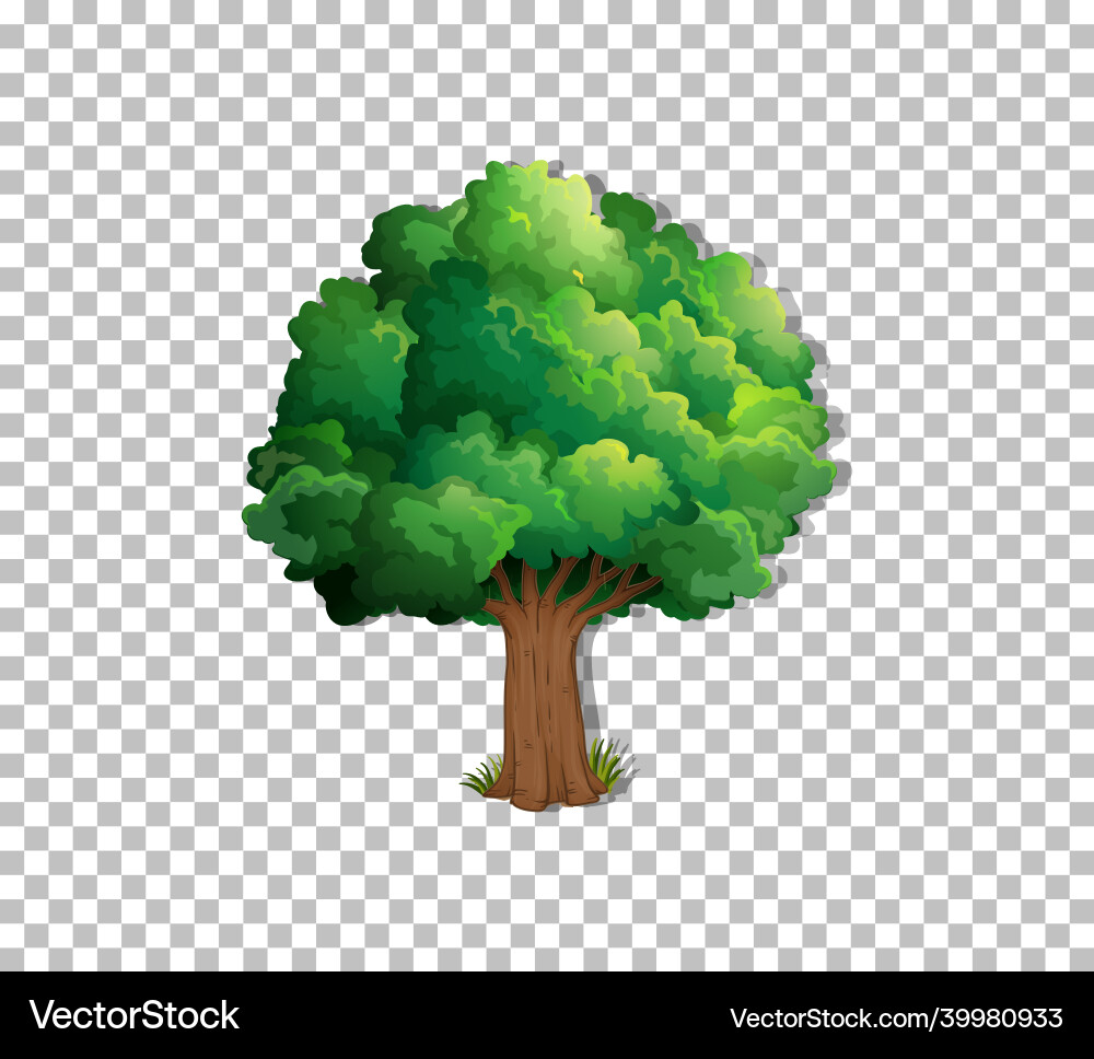 Tree on transparent background vector image