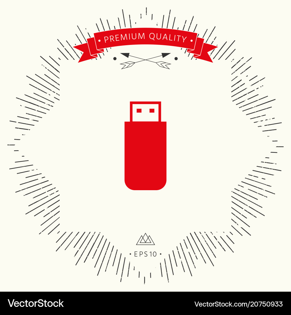 Usb flash memory drive icon Vector Image