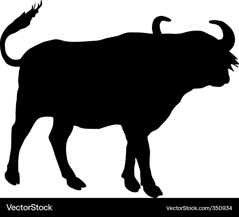 African Buffalo Silhouette vector image
