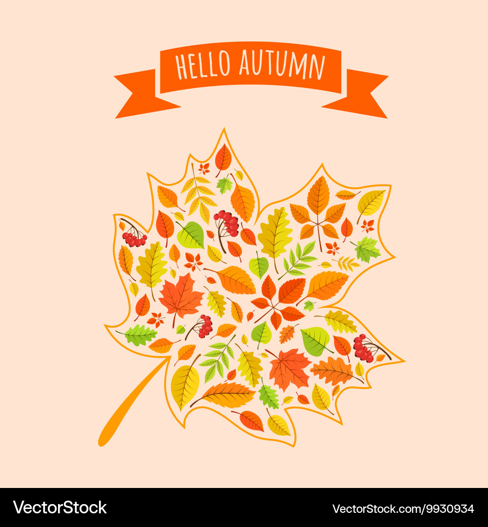 Maple leaf with fall pattern vector image