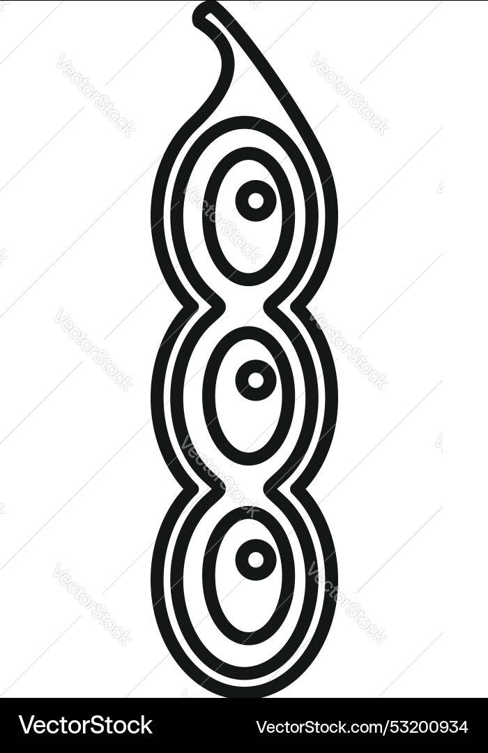 Soybean pod icon showing three beans inside Vector Image