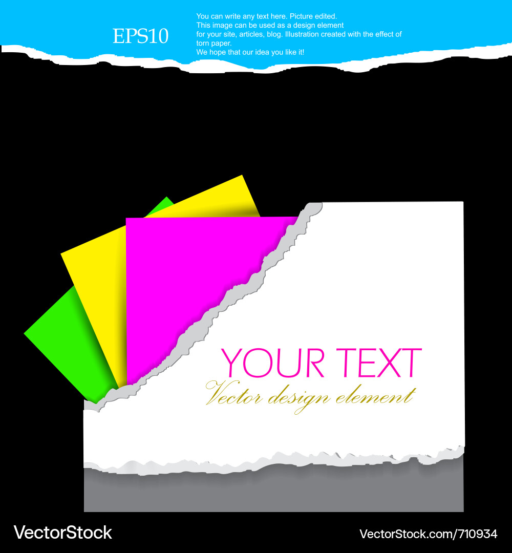 Torn Paper Documents & Folders vector image
