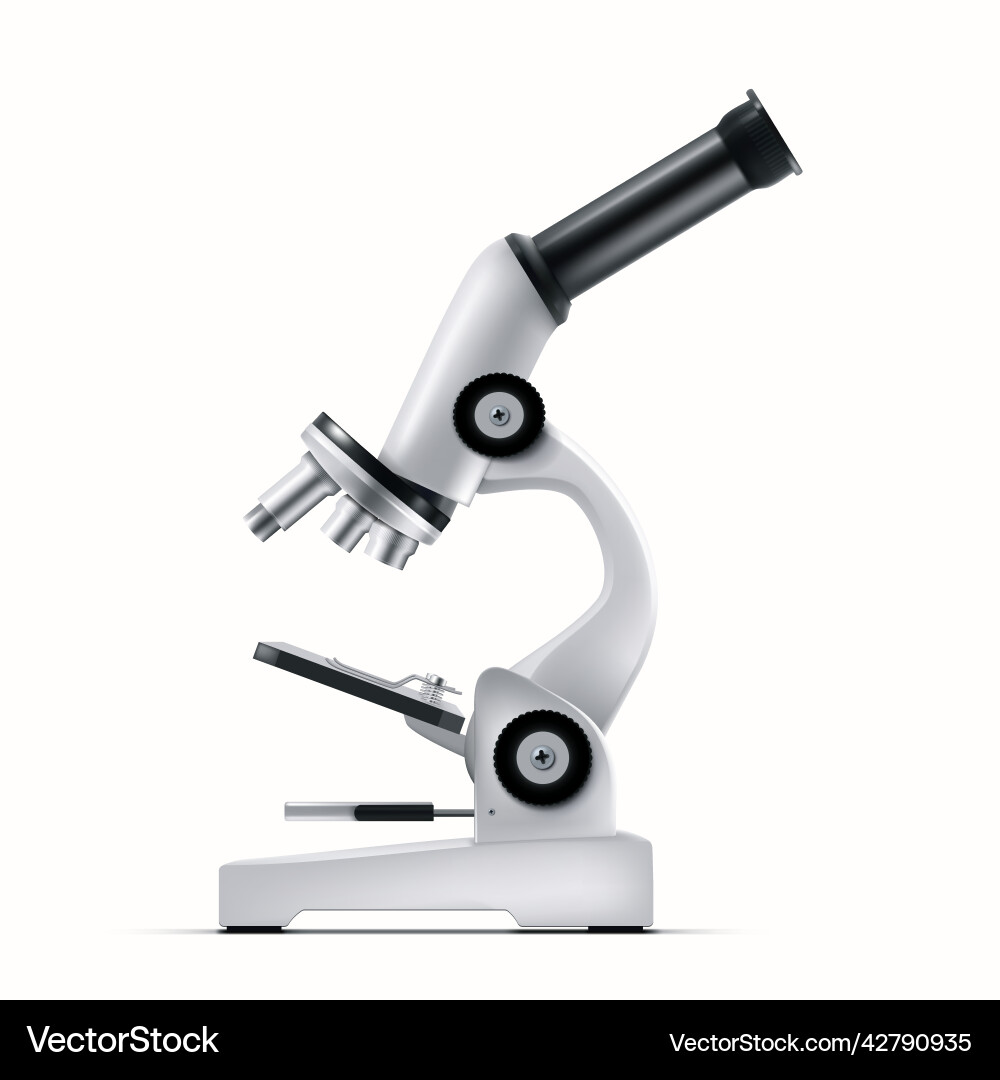3d white realistic microscope for lab analysis 3d white realistic microscope for lab analysis Vector Image
