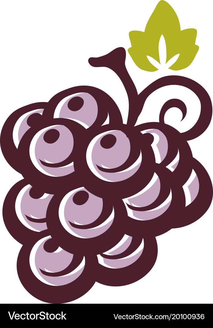 Grape icon with leaf vector image