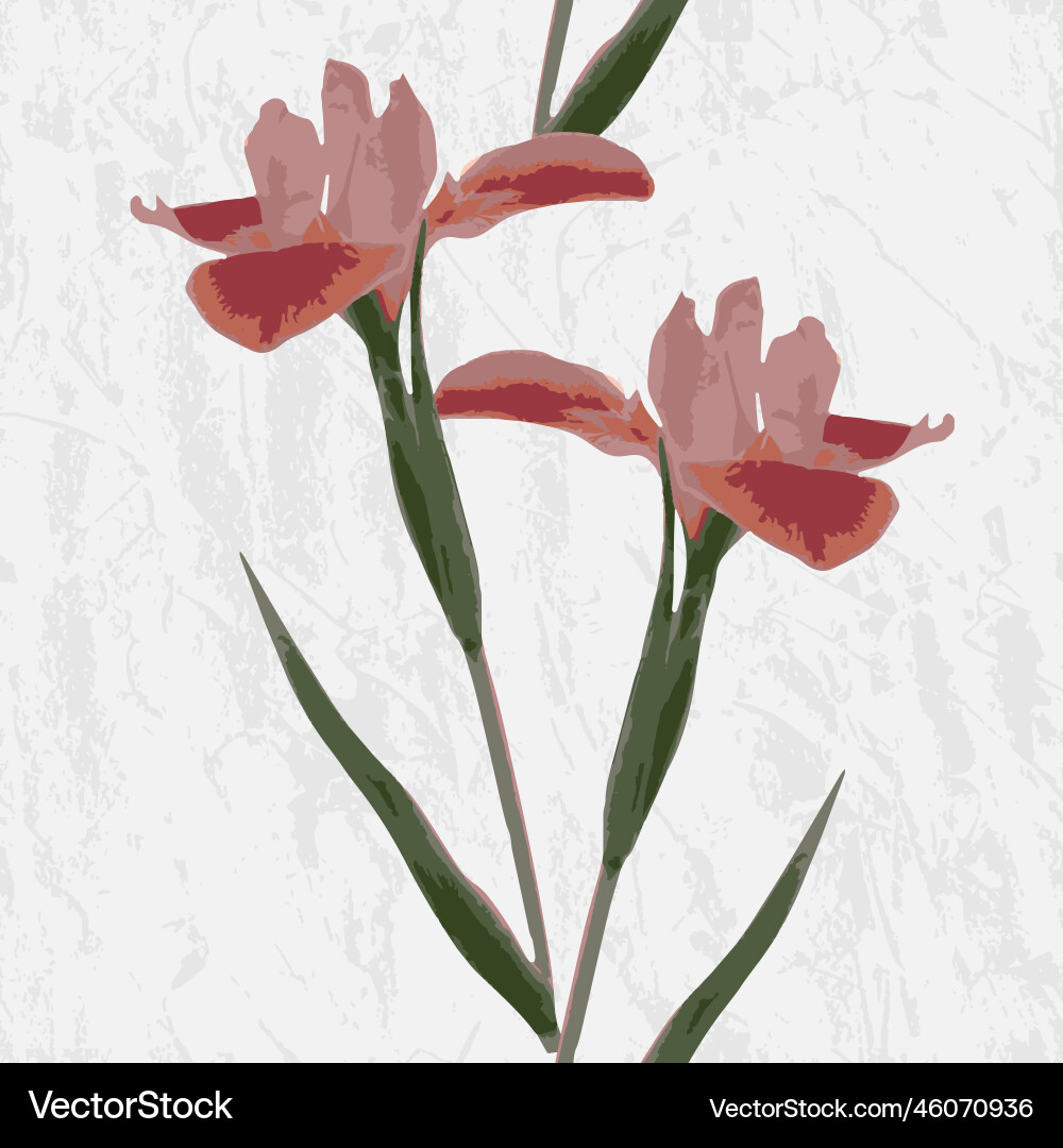 Iris seamless pattern Iris seamless pattern vector image