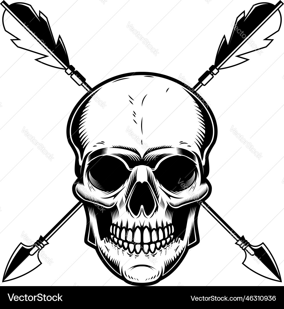 Skull with crossed arrows design element vector image