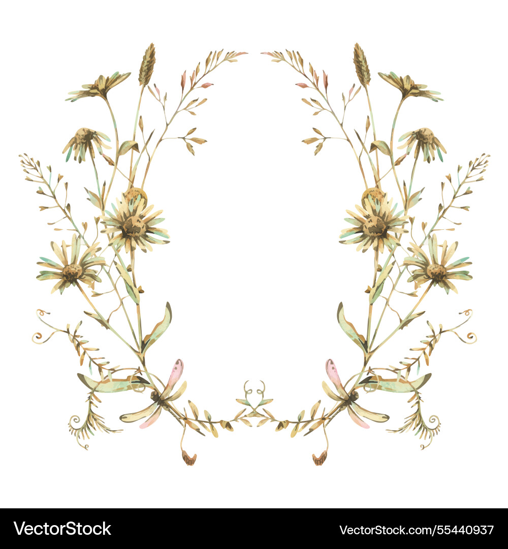 Field meadow wild flowers and herbs chamomile Field meadow wild flowers and herbs chamomile vector image