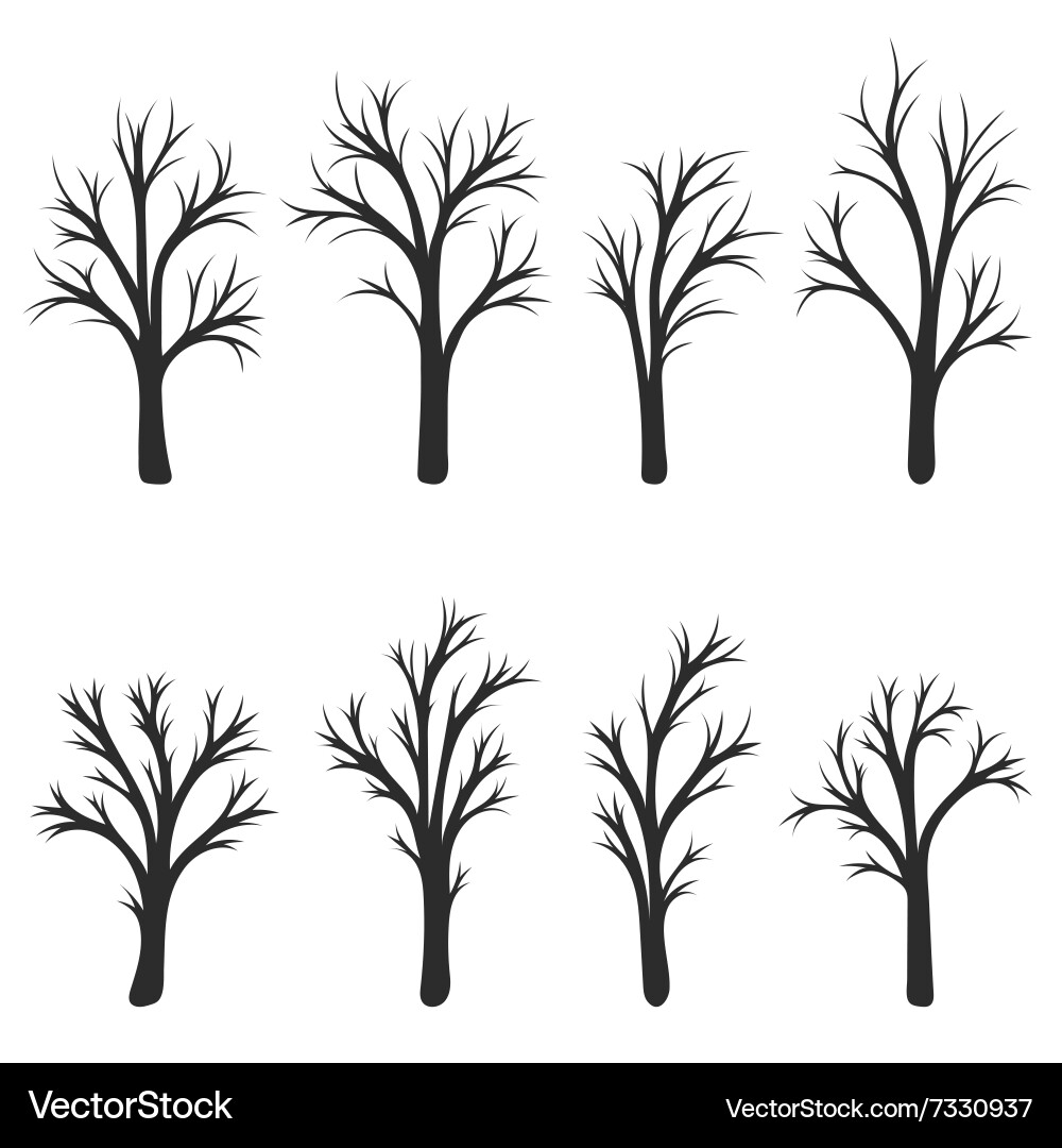 Tree Silhouettes Royalty Free Vector Image - VectorStock
