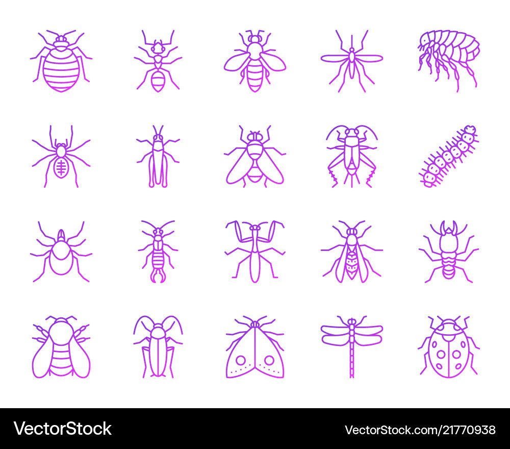 Danger insect simple color line icons set vector image