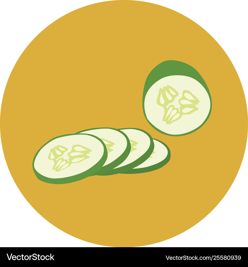 Flat-icon-cucumber-slices vector image