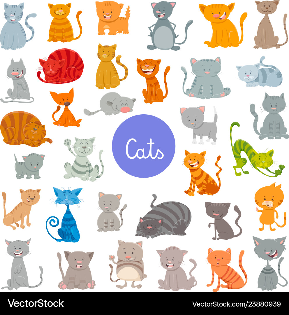 Funny cat and kitten characters large set Funny cat and kitten characters large set vector image
