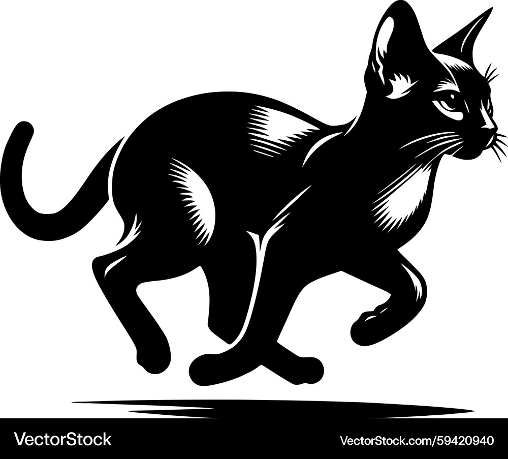 Black Cat Running Silhouette – Royalty-Free Vector | VectorStock, image size:1000x903