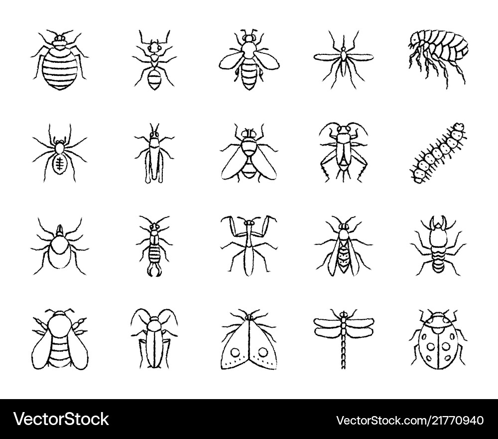 Danger Bug Icon Set - Charcoal Style vector image