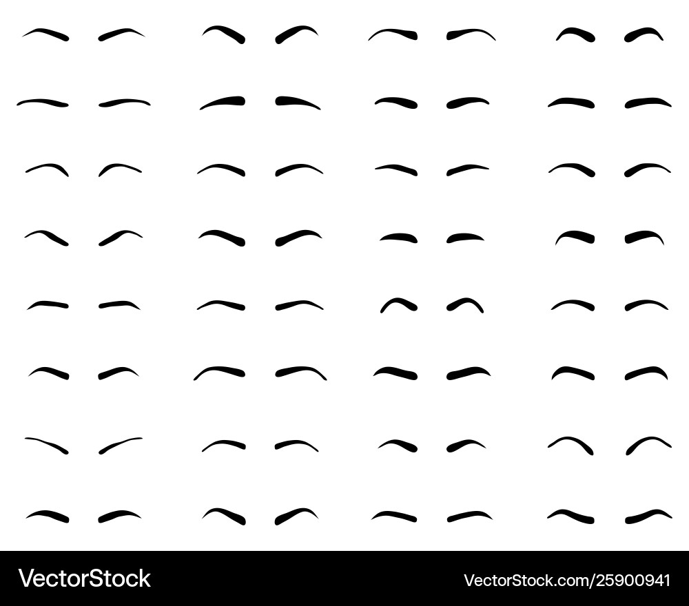 Eyebrow Styles and Forms Vector Image