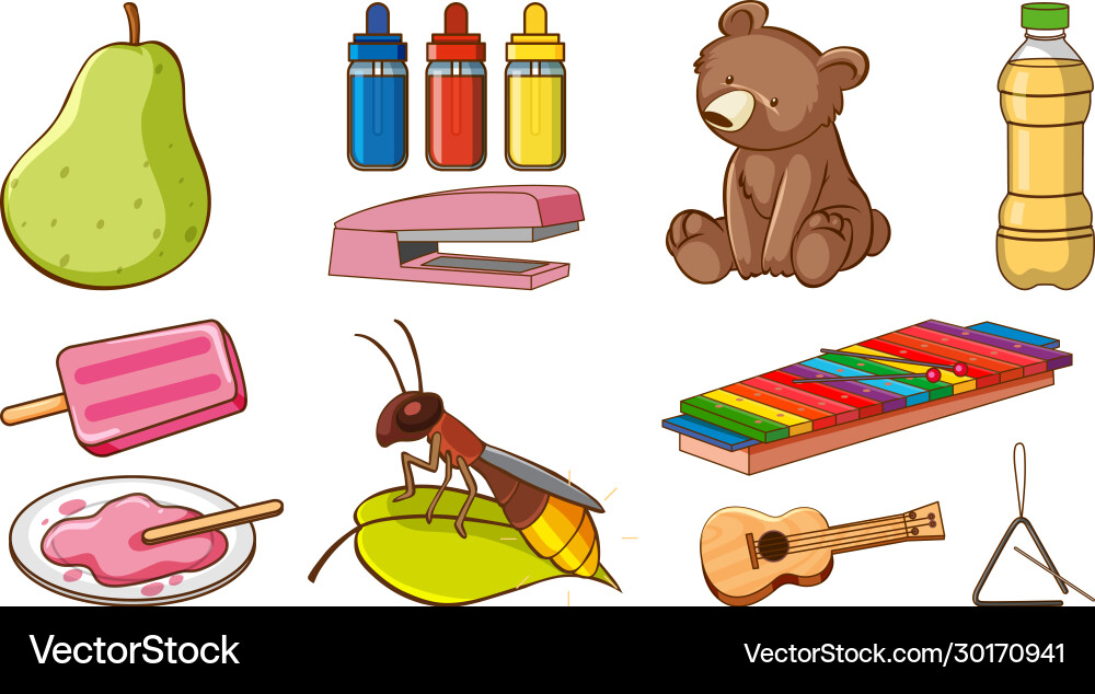 Large set different animals and other objects Large set different animals and other objects vector image