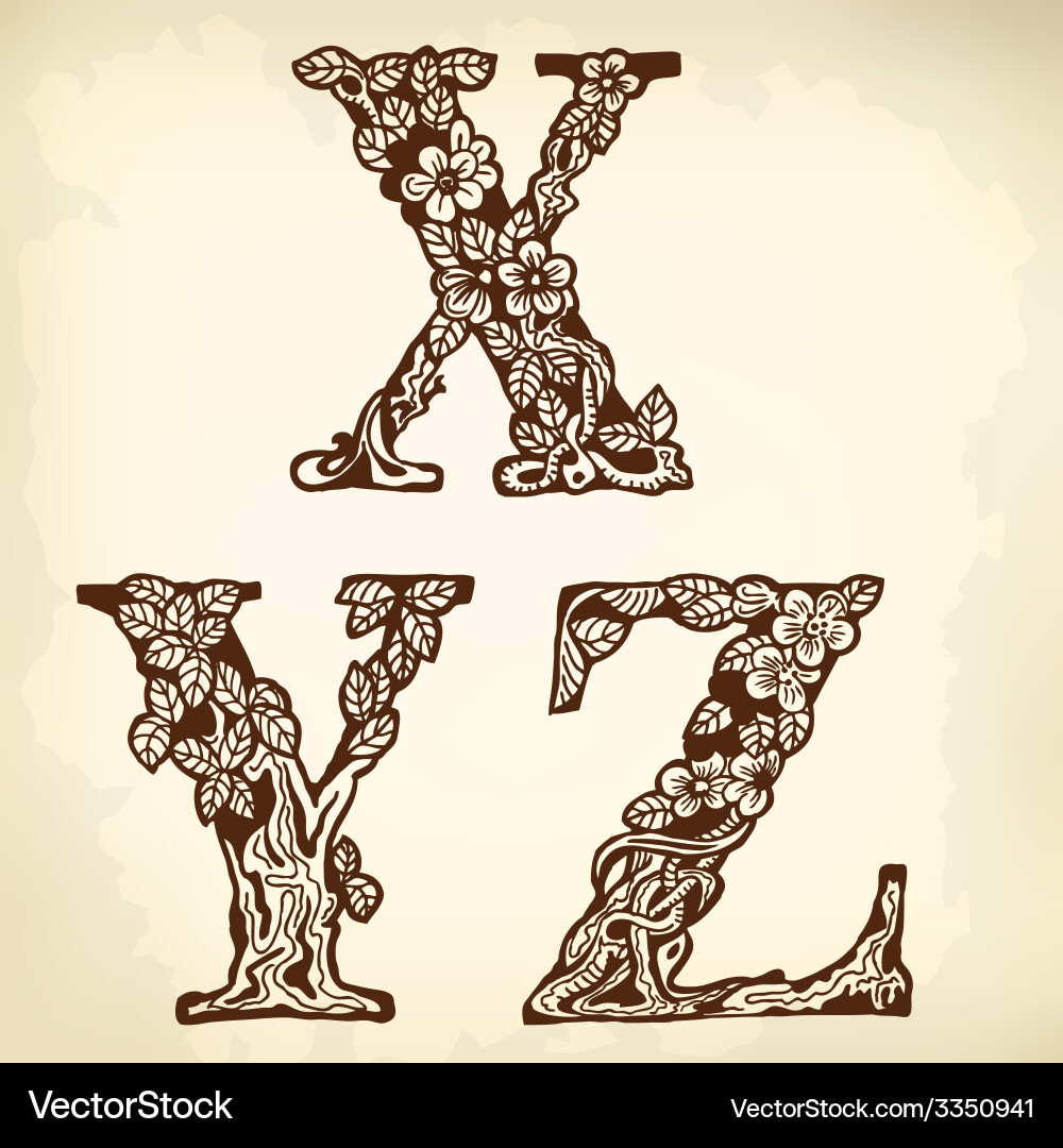 Set of letters xyz vector image