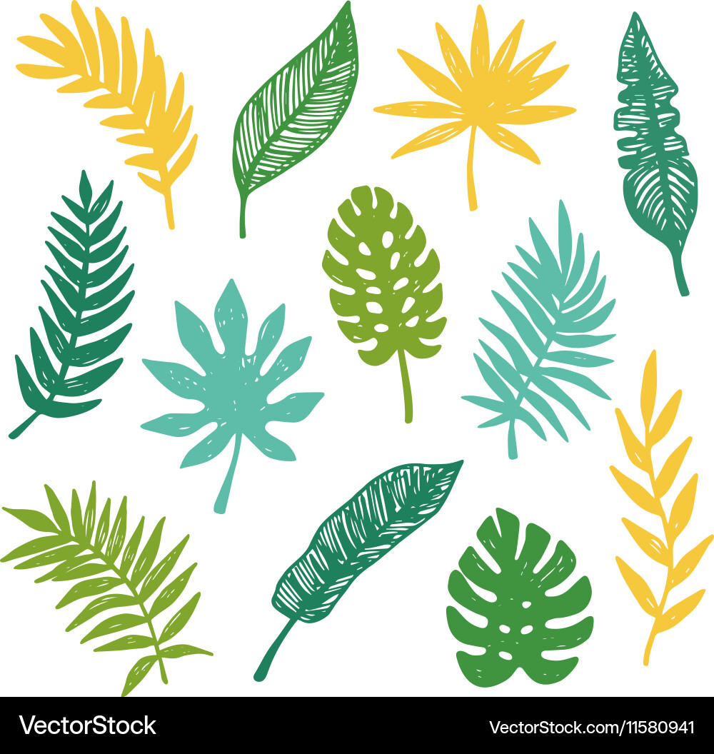 Tropical Leaf Set - Botanical Art Vector Image