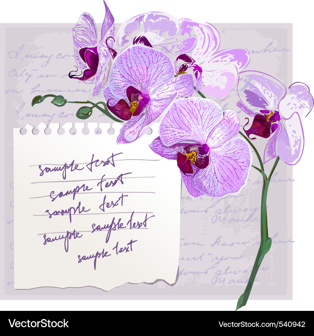 Floral Card with Orchid vector image