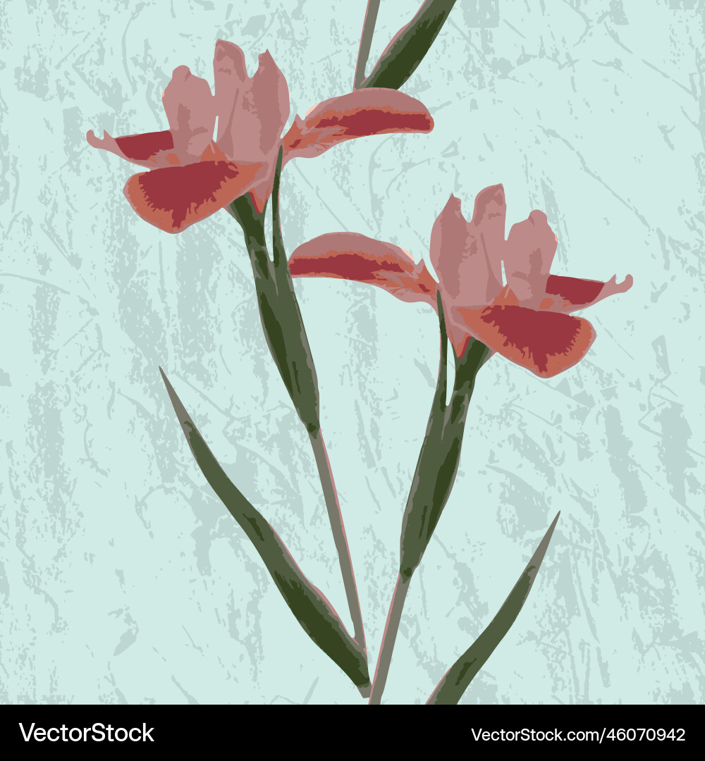 Iris seamless pattern Iris seamless pattern vector image