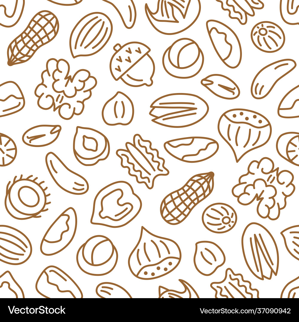 Nut seamless pattern vector image