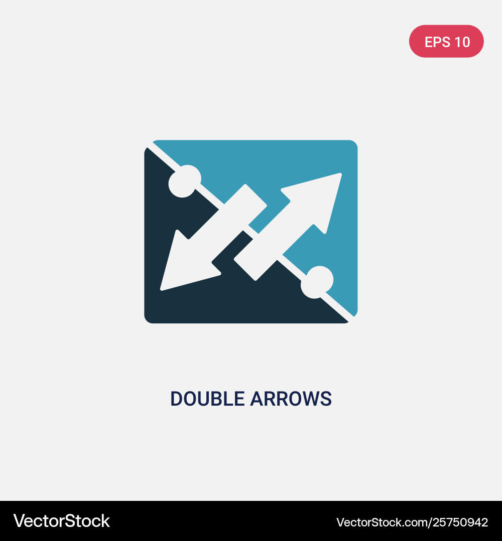 Two color double arrows icon from user interface vector image