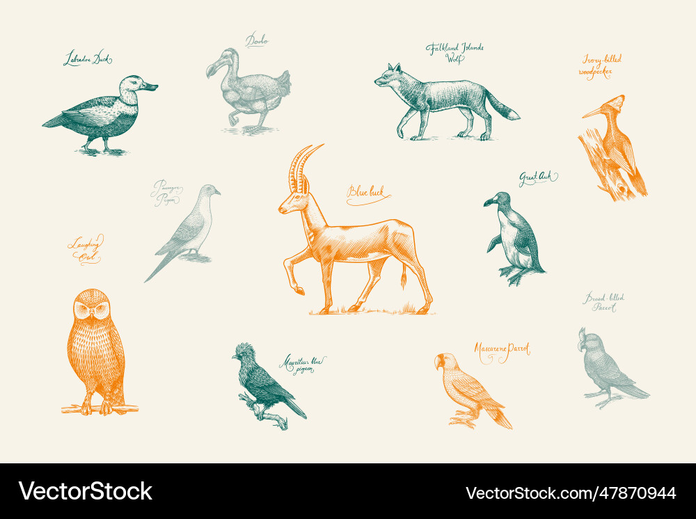Extinktive Arten wilde Säugetiere und Vögel Extinktive Arten wilde Säugetiere und Vögel vektorbild