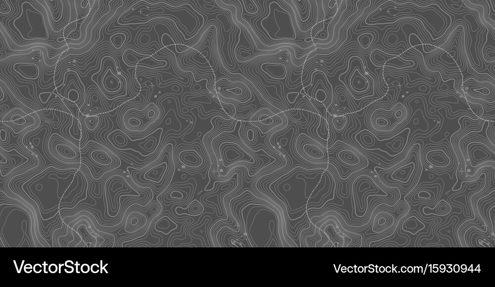 Seamless pattern topographic map background vector image
