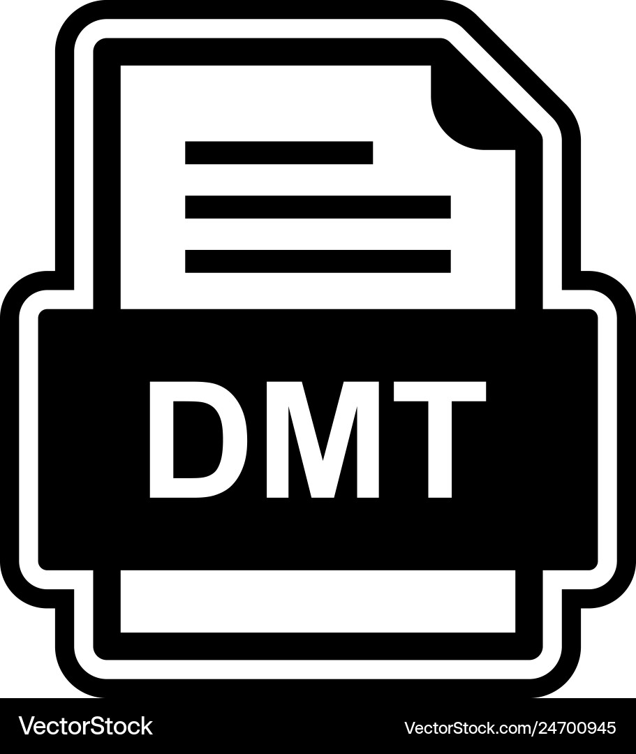 Dmt file document icon Vector Image