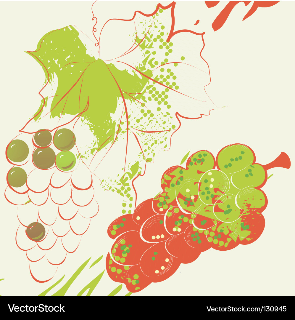 Grunge background with grapevine Vector Image