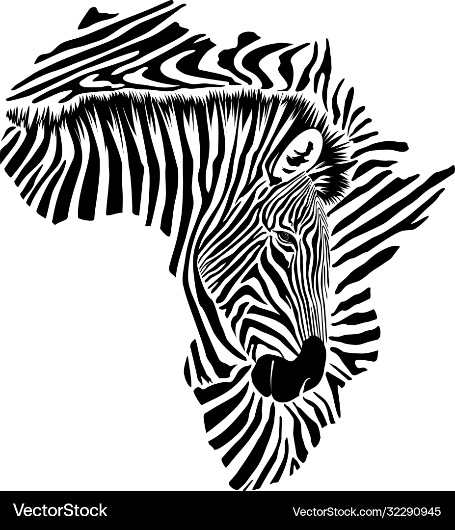 Zebra Africa Skin Pattern – Royalty-Free Vector | VectorStock, image size:927x1080