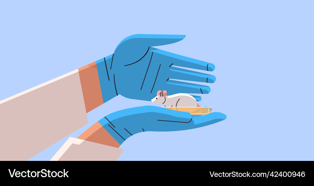 Scientist hands doing experiments in lab Scientist hands doing experiments in lab Vector Image