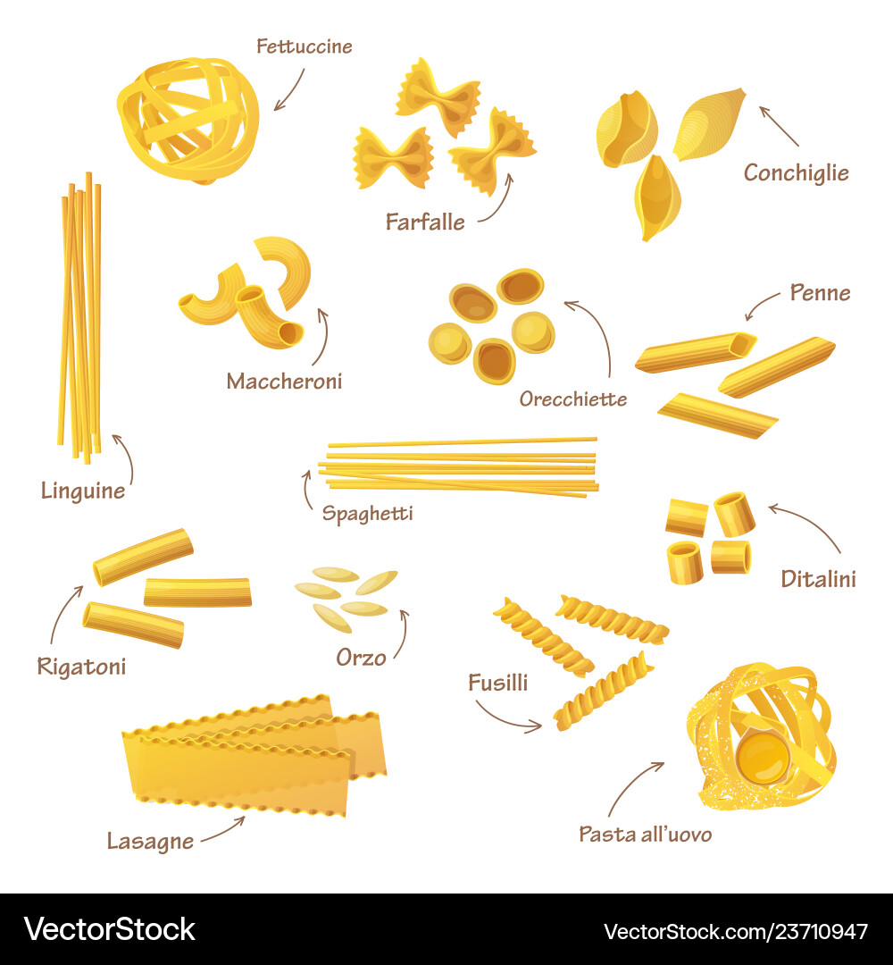 Diverse Italian Pasta Collection Royalty Free Vector Image