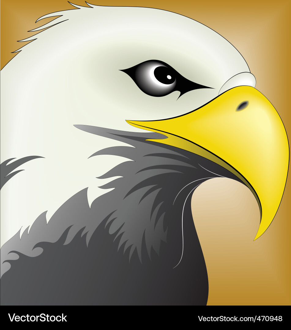 Eagle face Royalty Free Vector Image - VectorStock