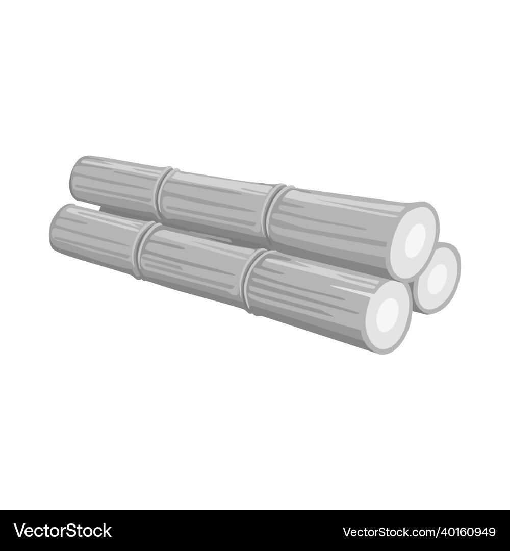 Isolated object of stalk and sugar symbol web vector image