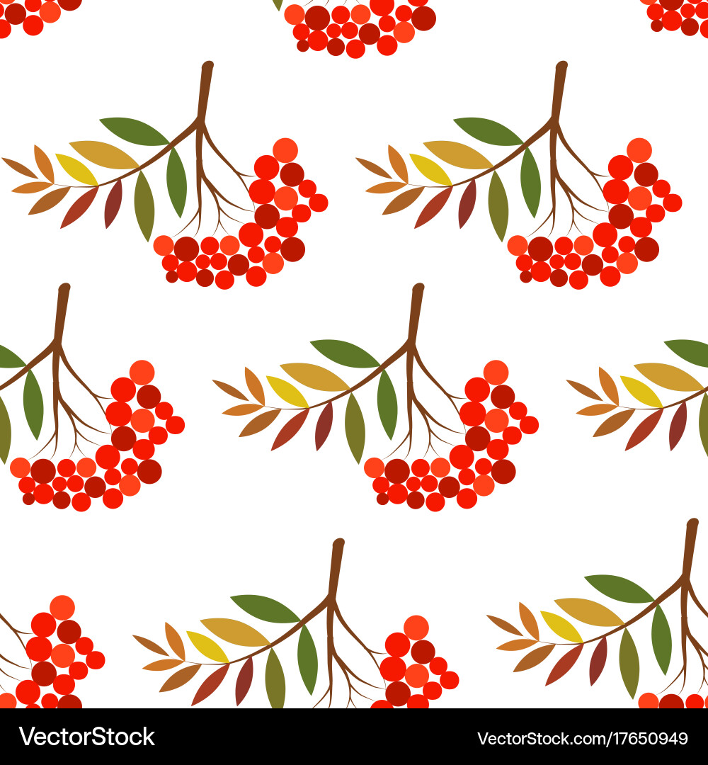 Rowan pattern vector image