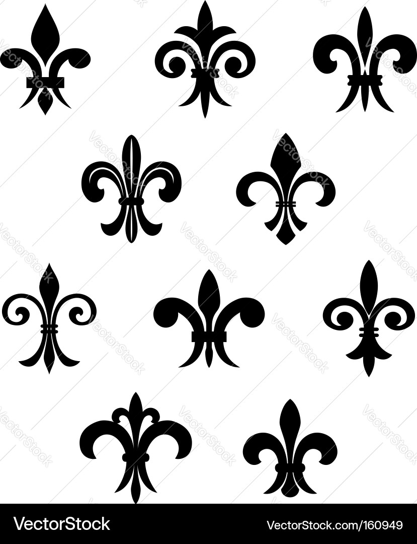 Royal lily Royalty Free Vector Image - VectorStock