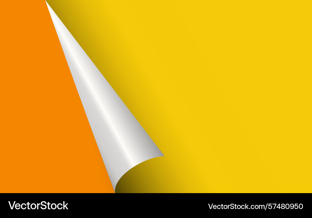 Page curl curled color paper blank sheet Vector Image