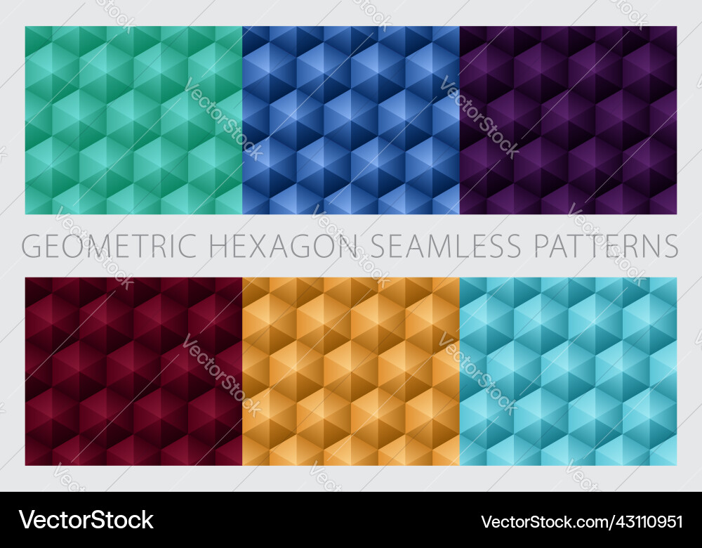 Geometric Hexagon Patterns vector image