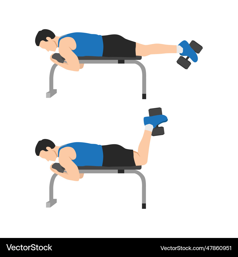 Man doing dumbbell hamstring curl on bench vector image