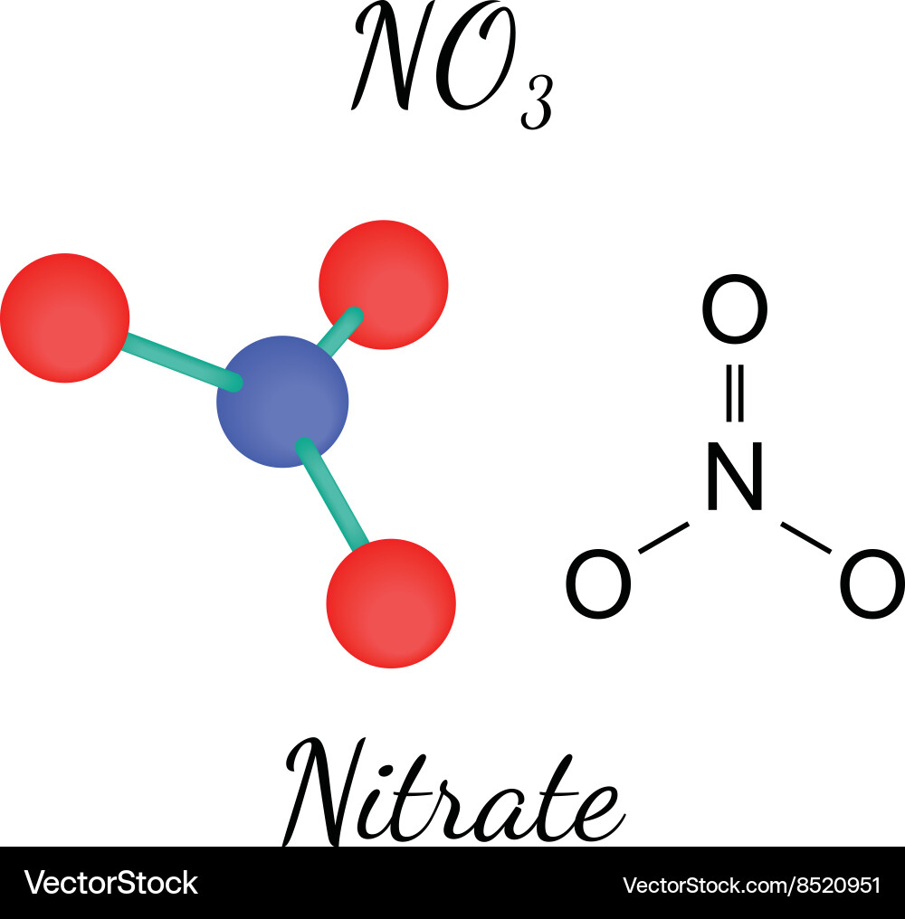 Nitrate Molecule 3D Structure vector image