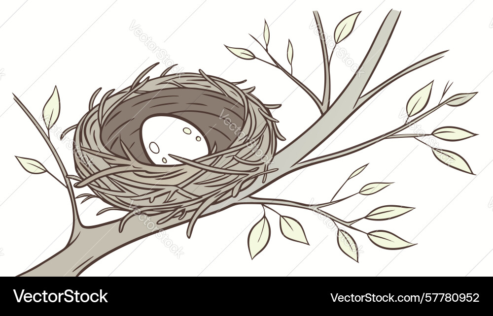 Bird in nest on branch representing nurturing vector image