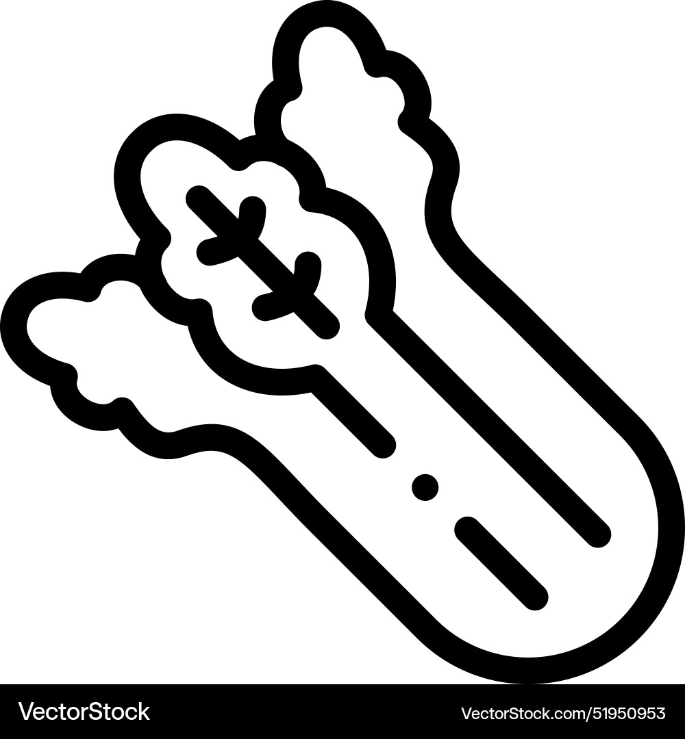 Celery icon thin linear style design isolated Celery icon thin linear style design isolated vector image