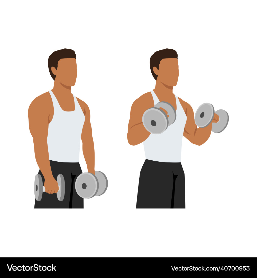 Man doing dumbbell bicep reverse curls exercise Man doing dumbbell bicep reverse curls exercise vector image
