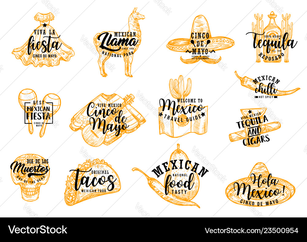 Cinco de mayo mexican sombrero cactus and tequila Cinco de mayo mexican sombrero cactus and tequila vector image