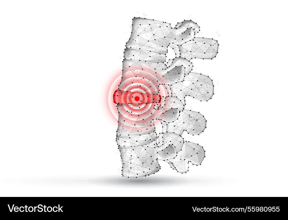3d spine isolated on white chiropractic Royalty Free Vector