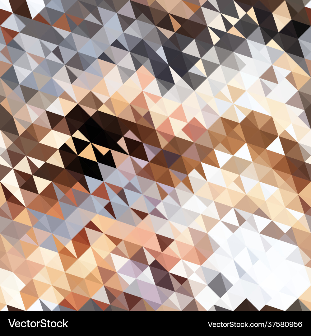 Abstract image with texture light triangles Vector Image