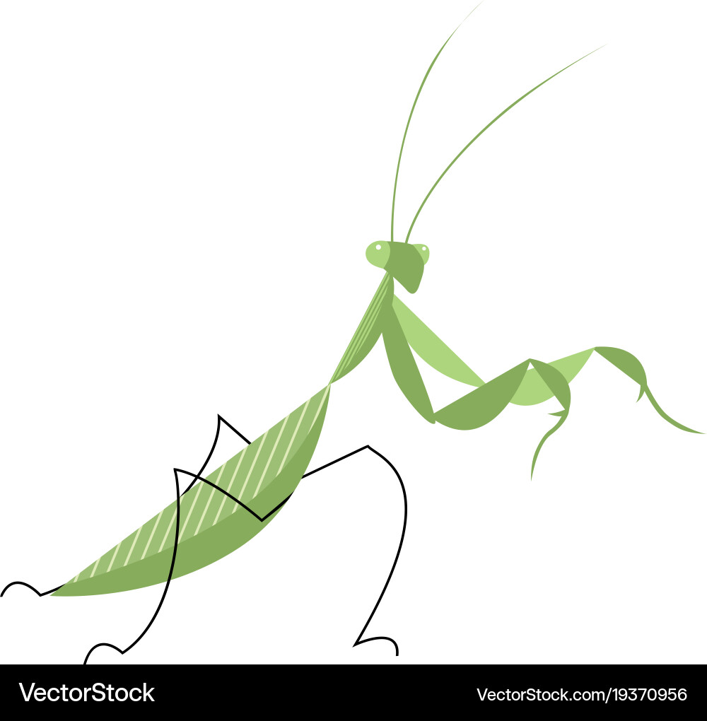 Mantis in an attacking pose vector image