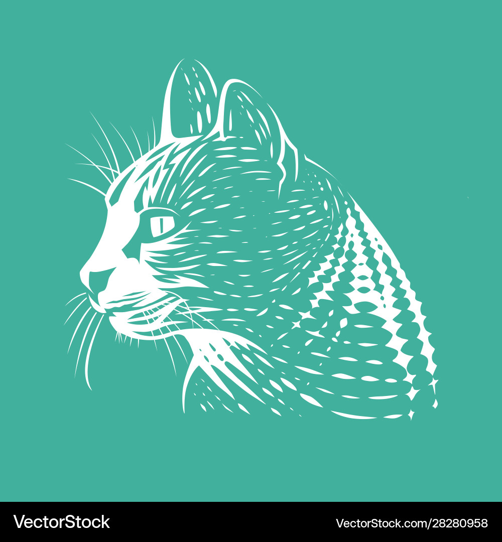 Cat vector image